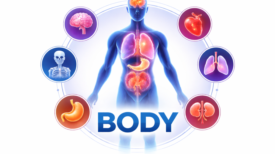 Body
